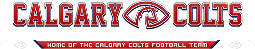 raffle logo